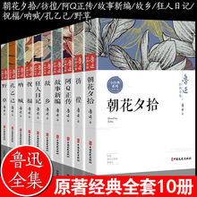 鲁迅全集狂人日记朝花夕拾祝福野草故乡呐喊散文集杂文精选彷徨书