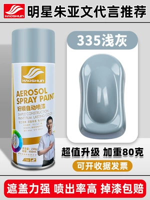 Avtomobil boya qələmləri — Graffiti Home Wooden Paint - haoshun-self-painted-450ml335-light-gray