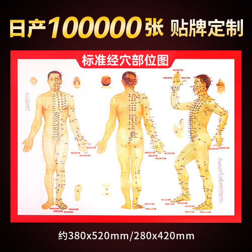 64 high-definition human body acupuncture point map. Manufacturer wholesale human body meridian acupuncture point book, moxibustion reference chart, moxibustion chart.