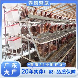 ���ڏV�|�u�\�S�ҿ羳�u��ʳ�ۼ����Q��˾���u�\�u�\�����ӻ\���N