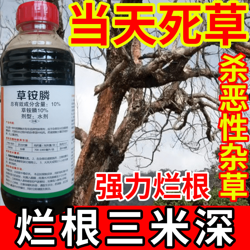 当天死草铵盐除草草安草铵磷草胺磷除牛筋草小飞蓬农药强力除草剂