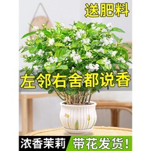 һ�����l���������Ԏ�����ˮ���d�ӻ��ܾGֲ���҃��ļ��_������