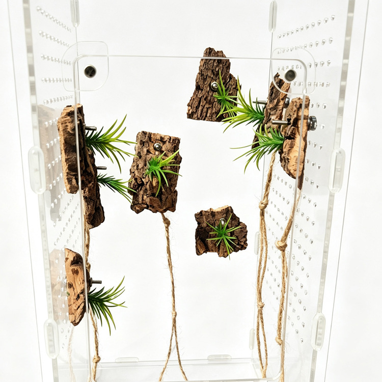 Reptile Jumping Spider Pet Scorpion Bird-Eating Spider Hideout Landscaping Plants Micro-Landscape Acrylic Box Champagne Bark with Grass