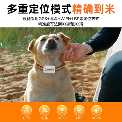 Pet Anti-Lost 4g Locator Waterproof: GPS Locator