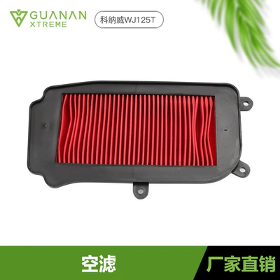 Wangjiang Pedal Motorcycle Imitation Air filter