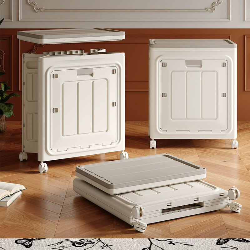Foldable Storage Box, 56×38×66.5 cm, Single or Double Door, Solid or Transparent