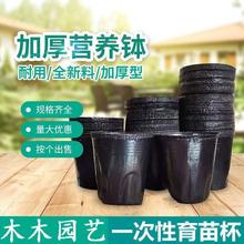 ��ľ���籭Ǥ��һ�������ψ@ˇ���軨�ܷN������������Nֲ�I�B��