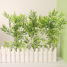 �����ӷ���ֲ������������֧�҃��̈��bG���쾰ë��٘����