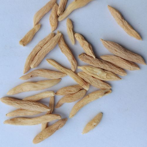 Wholesale Supply: Sichuan Ophiopogon 500g, New Arrivals in Bulk—Mianyang Ophiopogon, Traditional Chinese Medicine Ingredient 