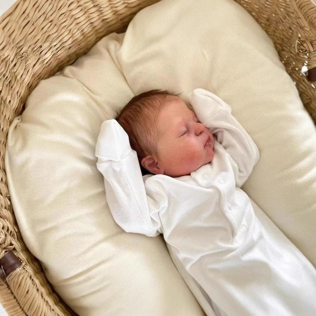 Muñeca realista NPK de 49 cm, bebé recién nacido Demi, suministro de comercio electrónico transfronterizo, dropshipping de Amazon