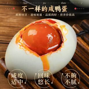 �������t�����ͺ��������r���������r��������������r���������l