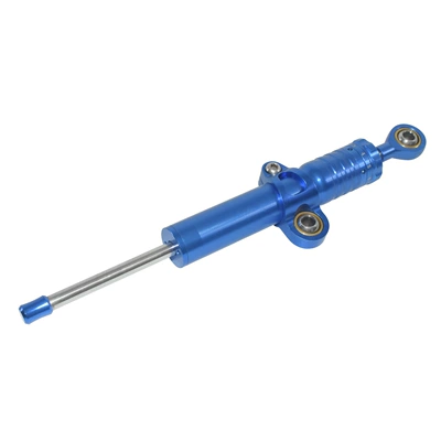 Motorcycle frame – Honda 900 CBR929RR - direct-pump-model-blue
