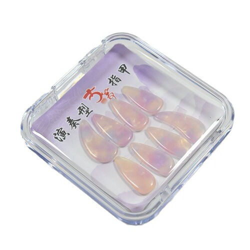 Guzheng Nail Box Guzheng Pipa Nail Transparent Display Box Storage Box