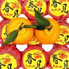 �Ĵ���Ҋ�ҰҸ����θ�ˮ�����r���������l�S���l؛Դһ�����l���S