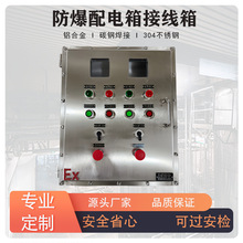 防爆配电箱仪表动力照明控制电源开关仪表检修插座接线操作端子箱