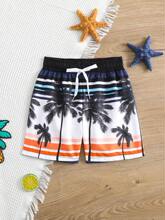 �к�������Ӿ��ѝ��3D�D�������K����  �m�����p�˵����e�ļ�Ӿ�b