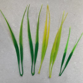 仿真绿植;工艺原料;仿真植物配件