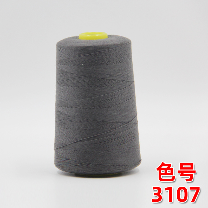 다크 그레이 3107