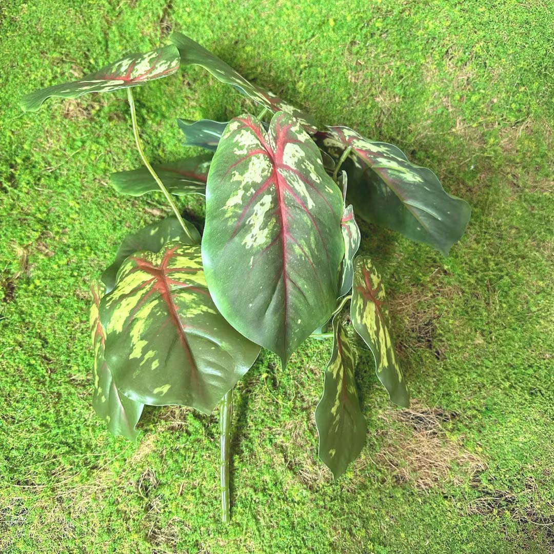 Fairy Cave tortuga hoja sentir arreglo floral hoja material planta esquina ventana belleza paisaje decoración artificial planta verde mango haz