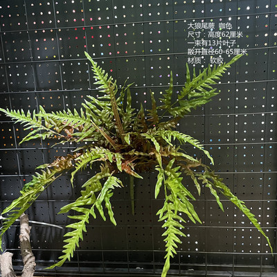 ペルシャのトルコの葉のシダの植物の偽の花の草の緑の葉の結婚祝いの柔らかい装飾の生け花の配材の背景の壁の装飾|undefined