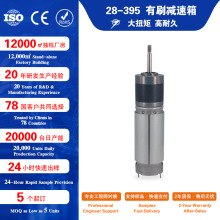 28mm行星齿轮箱395永磁直流电机 高效静音耐用马达工业设备电机