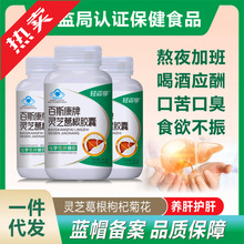 灵芝葛根片灵芝葛根胶囊蓝帽护肝胶囊熬夜养肝茶非李时珍护肝片