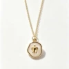 Turtle necklace