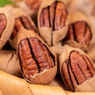 ��؛�̸���500g���b����ζɽ������ʳ�Թ�������ɢ�Q��؛���l