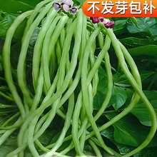 �o�ܶ��N���L���ǷN�ѾG�����r����@�˵ز�����ļ��׷N�߲˷N��