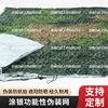 力虎功能型丛林数码林地荒漠光学涂层近红外拼花训练迷彩伪装网|ru