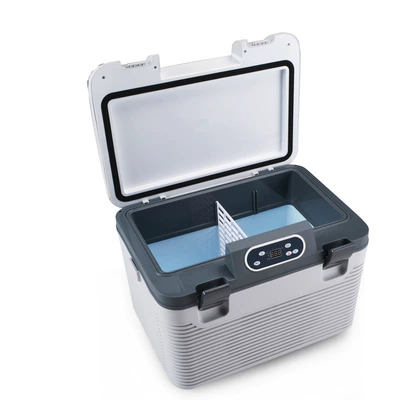 Soyuducular truck portable mini refrigerator
