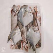 海杂鱼 深海杂鱼海鱼杂锦杂鱼拼盘750g三去海杂鱼厂家直销批发