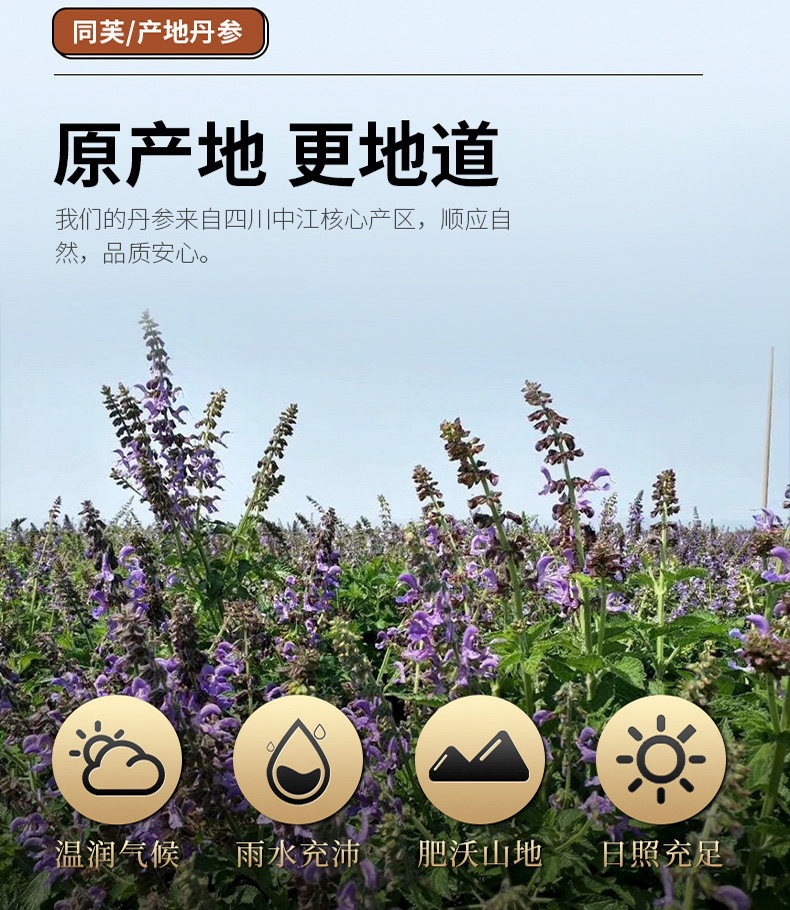 Dried Danshen Red Sage Slices 500g Dan Shen Salvia miltiorrhiza Root for Tea and Decoction key features