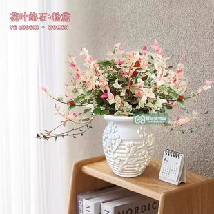�����~�jʯ��������پGֲ�k���҃����滨������ֲ����B�͟��ͺ�