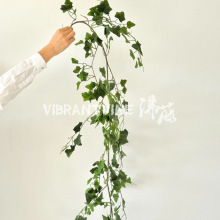 �����ٷ����ٗl����Gֲ�Gɫ�ٲݲ����b�Ʒ���������ڒ�����