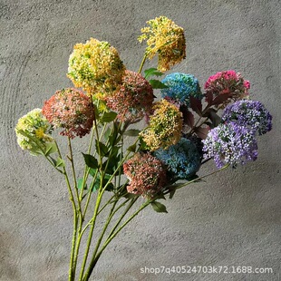 �߷���3�^���й� ܛ�z��������㶹��Ȼϵ�Ҿӻ��[���b��Ĕz����