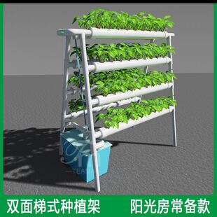 �p���Ԅ�ˮ��N�� �̨�o������ܵ��ČӃ��Ų�ݮ�߲˷Nֲ��