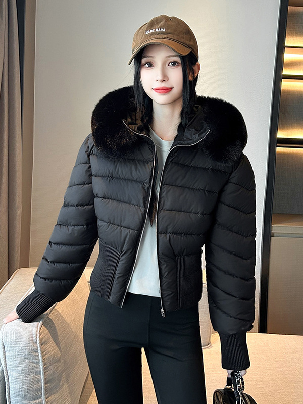 欧货棉袄冬季2025新款时尚设计收腰连帽羽绒棉服女小个子棉衣外套|undefined