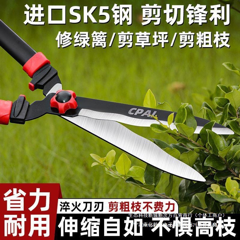 园艺修枝剪修绿化坪绿篱剪大花剪园林剪枝工具修剪树枝剪刀