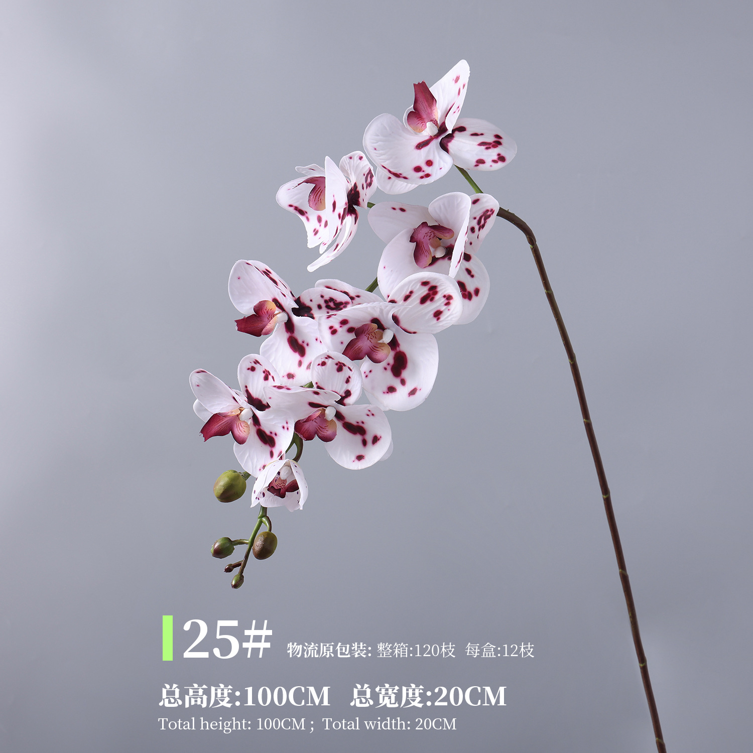 25#