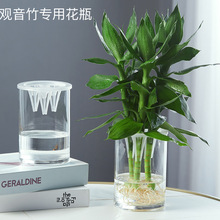 观音竹花瓶插富贵竹用养转运竹透明玻璃水培植物瓶客厅插花瓶