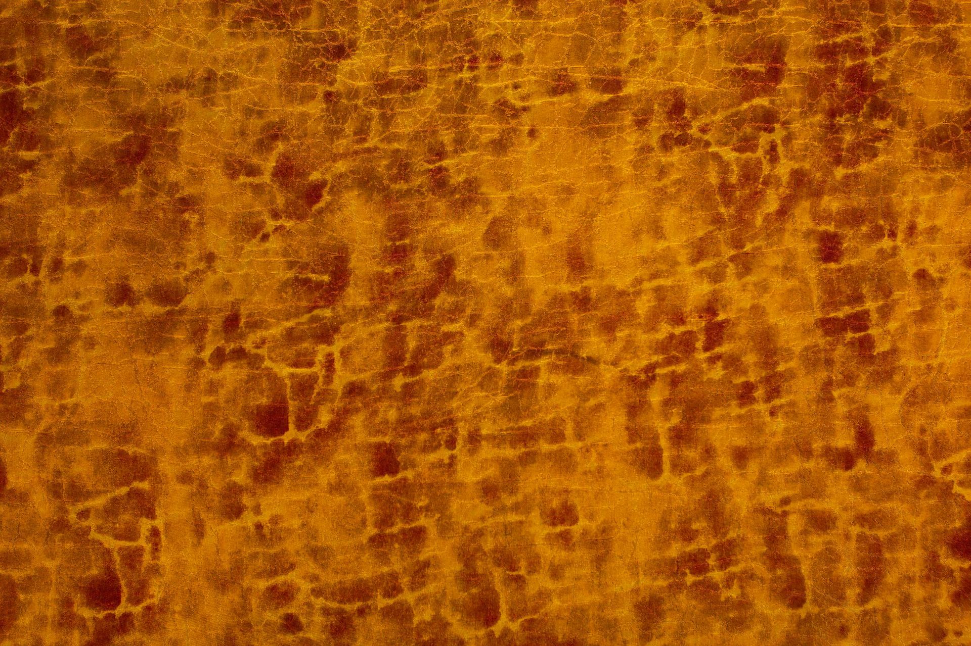 8호 어드밴스드 골든