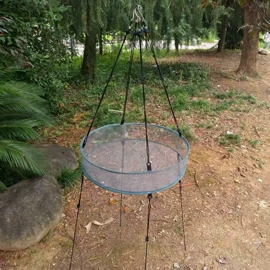 晾晒篮/绳;鸟类;鸟笼