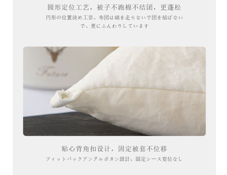 Class A Raw Cotton Soybean Fiber Thickened Quilt Core Spring Autumn Winter Cotton Quilt Student Dormitory Winter Quilt Gift Wholesale