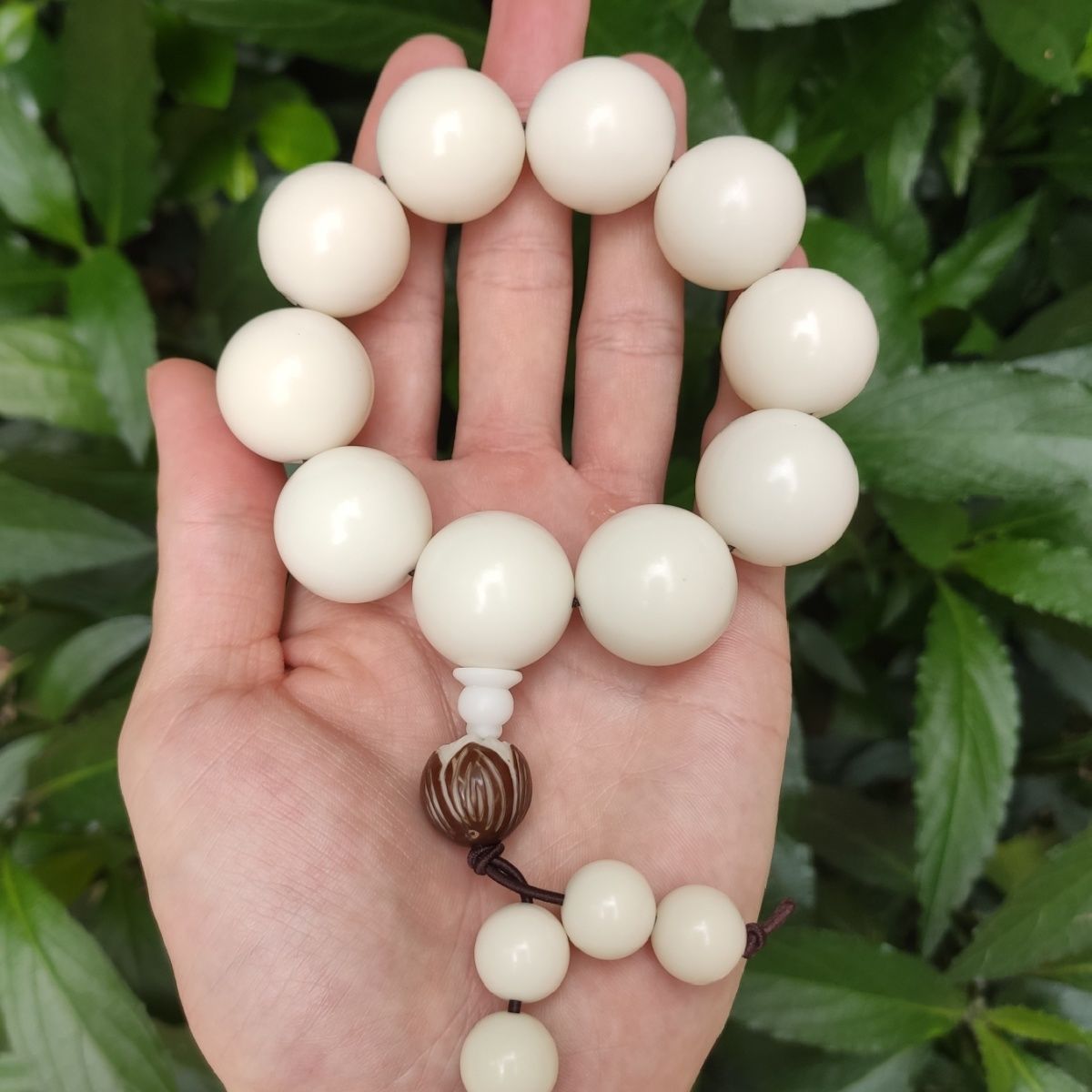 14-26mm Boutique size White jade Bodhi root Hand string polishing High density men and women Pu Tizi Wenwan Hand string