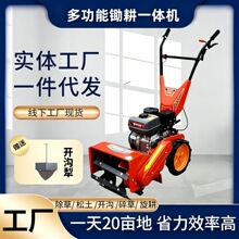 ���������z���C �๦���_����������һ�w�C С�K���p��΢���C