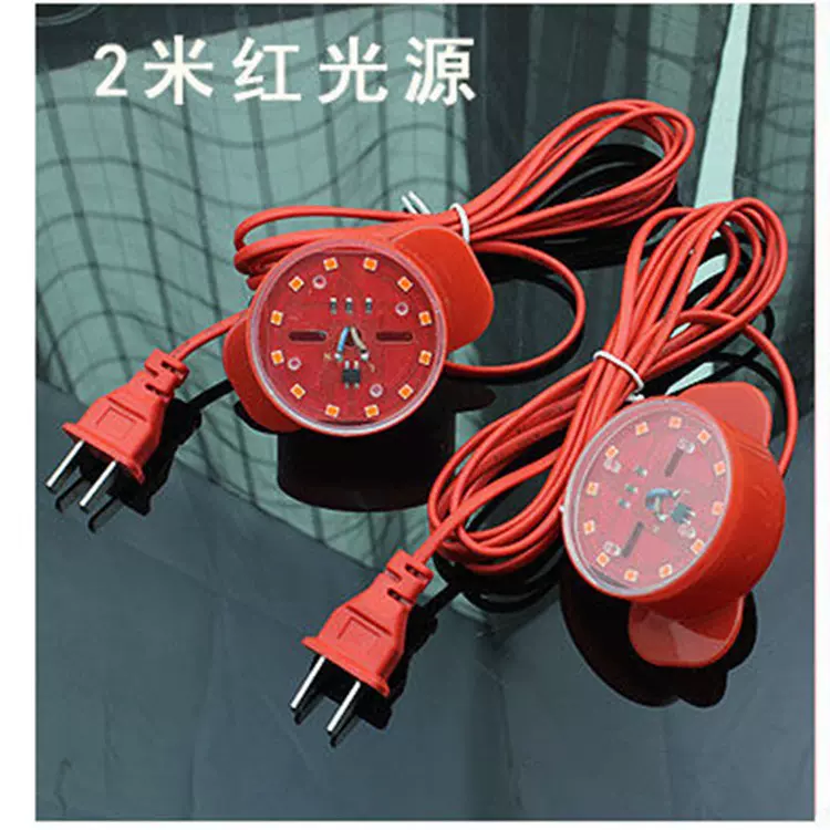 防水LED灯泡灯笼伴侣厂家批发灯笼专用灯座插座电源线2米LED发光