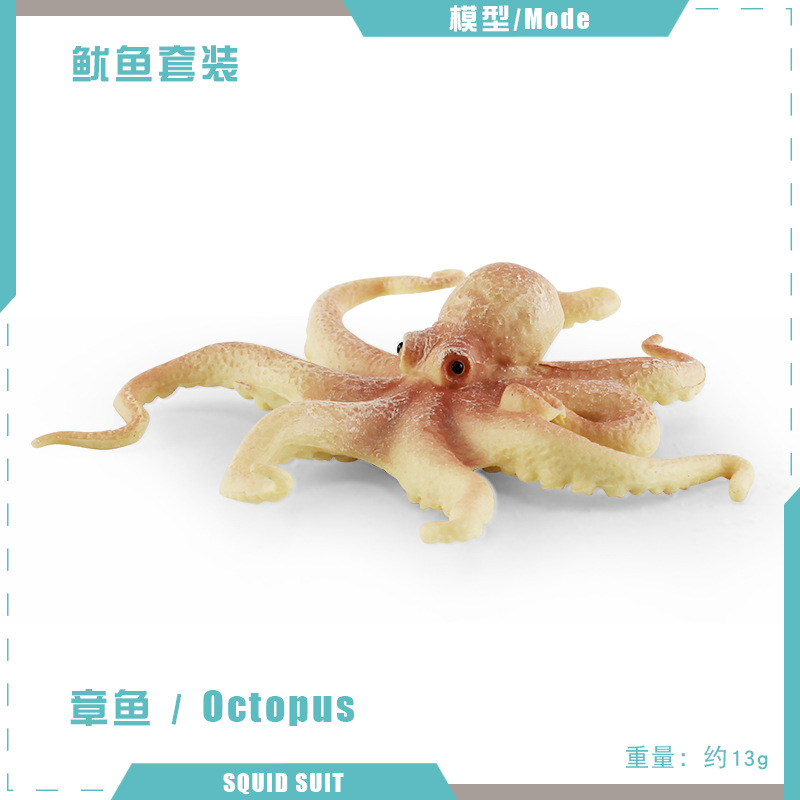 Pulpo PL127-2255 13g