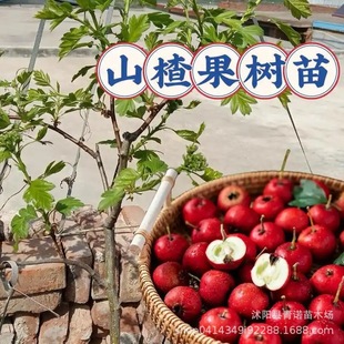 ���� ������ ��ɽ高��� �޽��� ����ֱ�N ���󃞻�