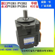 YLC/���`Һ����PV2R2-41F1 47 53 59 65 70 79 85 RAF1�ͱ��~Ƭ��